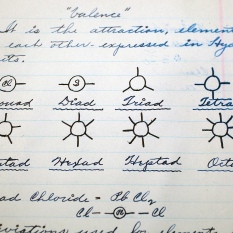 Carl's notebooks contained meticulous notes on chemistry and other subjects.